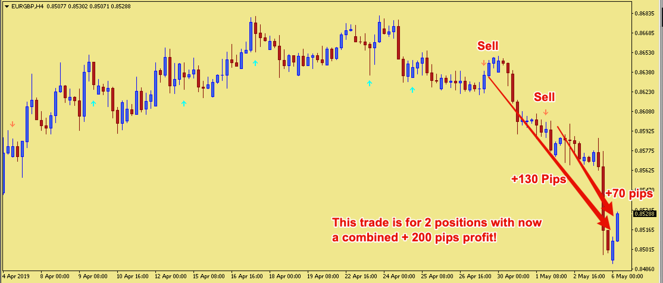 Forex 500 pips per day